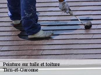 Peinture sur tuile et toiture
