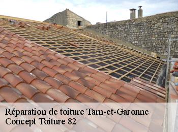 Réparation de toiture D.J. Pro habitat