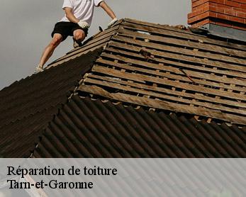 Réparation de toiture  