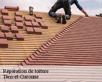 Réparation de toiture