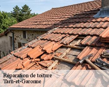 Réparation de toiture  