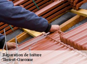 Réparation de toiture