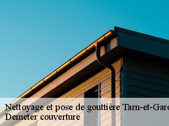 Nettoyage et pose de gouttière Demeter couverture