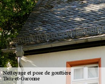 Nettoyage et pose de gouttière