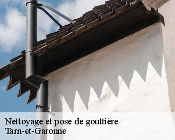 Nettoyage et pose de gouttière