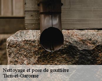 Nettoyage et pose de gouttière