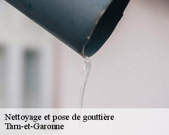 Nettoyage et pose de gouttière