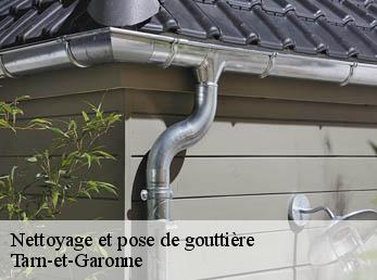 Nettoyage et pose de gouttière