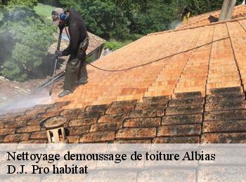 Nettoyage demoussage de toiture  albias-82350 D.J. Pro habitat
