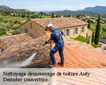 Nettoyage demoussage de toiture  82220