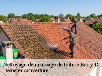 Nettoyage demoussage de toiture barry-d-islemade-82290 Demeter couverture