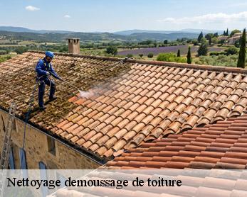 Nettoyage demoussage de toiture
