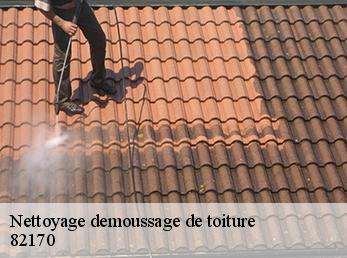 Nettoyage demoussage de toiture 82170
