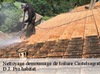 Nettoyage demoussage de toiture  castelsagrat-82400 D.J. Pro habitat