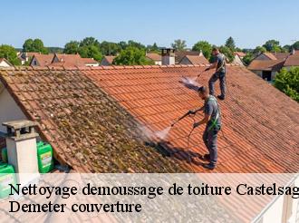 Nettoyage demoussage de toiture  castelsagrat-82400 Demeter couverture