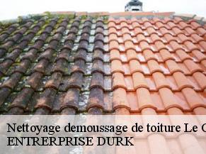 Nettoyage demoussage de toiture  le-cause-82500 ENTRERPRISE DURK