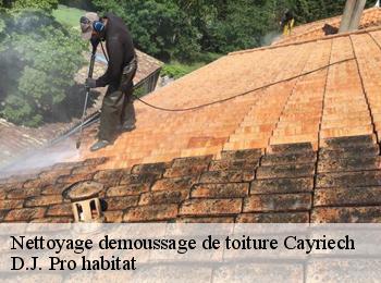 Nettoyage demoussage de toiture  cayriech-82240 D.J. Pro habitat