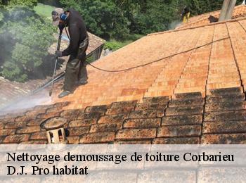 Nettoyage demoussage de toiture  corbarieu-82370 D.J. Pro habitat