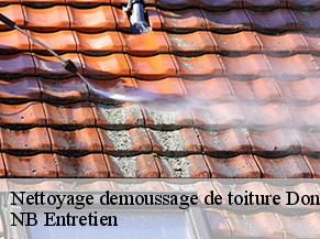 Nettoyage demoussage de toiture donzac-82340 NB Entretien