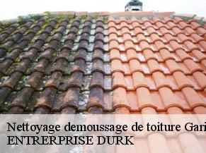 Nettoyage demoussage de toiture  garies-82500 ENTRERPRISE DURK