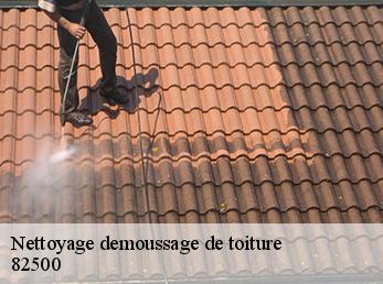 Nettoyage demoussage de toiture  82500