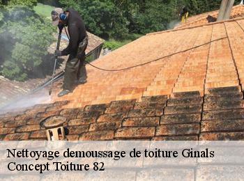 Nettoyage demoussage de toiture ginals-82330 Concept Toiture 82