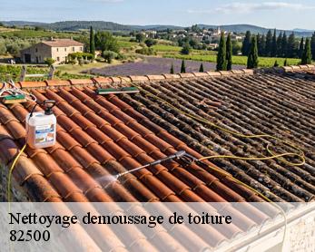 Nettoyage demoussage de toiture 82500