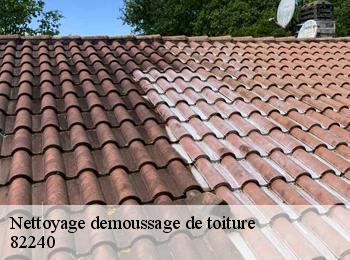 Nettoyage demoussage de toiture 82240