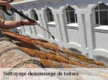 Nettoyage demoussage de toiture