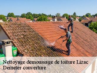 Nettoyage demoussage de toiture  lizac-82200 Demeter couverture