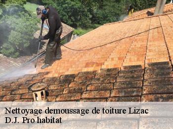 Nettoyage demoussage de toiture  lizac-82200 D.J. Pro habitat