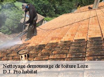 Nettoyage demoussage de toiture  loze-82160 D.J. Pro habitat
