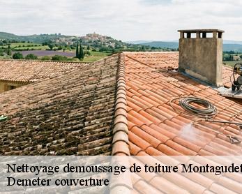 Nettoyage demoussage de toiture