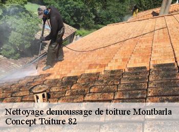 Nettoyage demoussage de toiture montbarla-82110 D.J. Pro habitat