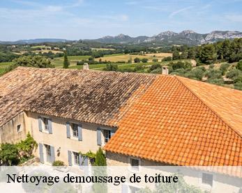 Nettoyage demoussage de toiture  82300