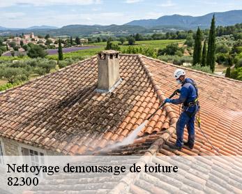 Nettoyage demoussage de toiture  82300