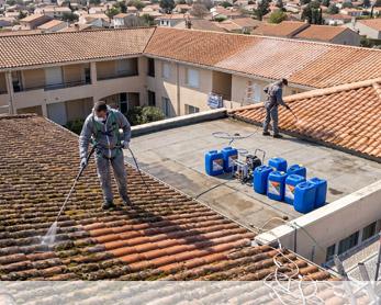 Nettoyage demoussage de toiture 82370