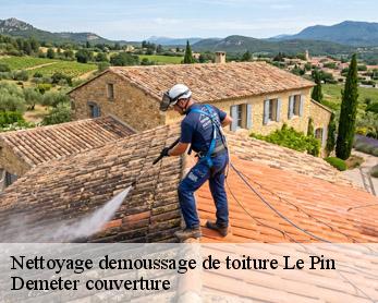 Nettoyage demoussage de toiture 82340