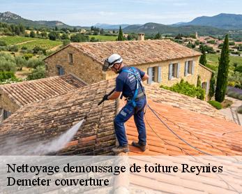 Nettoyage demoussage de toiture 82370