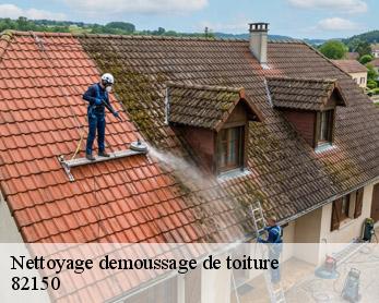 Nettoyage demoussage de toiture