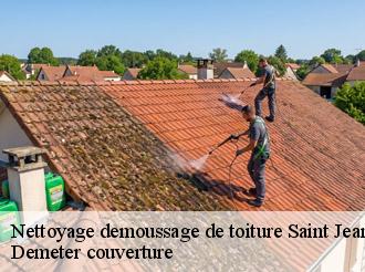 Nettoyage demoussage de toiture  saint-jean-du-bouzet-82120 Demeter couverture