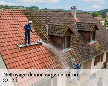Nettoyage demoussage de toiture