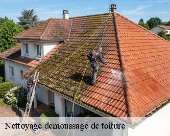 Nettoyage demoussage de toiture  82120
