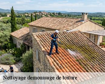 Nettoyage demoussage de toiture
