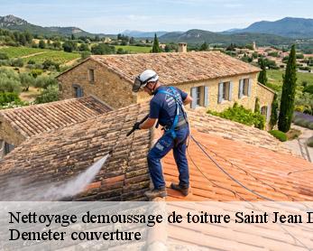 Nettoyage demoussage de toiture  82120