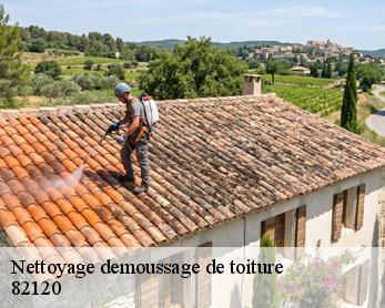 Nettoyage demoussage de toiture