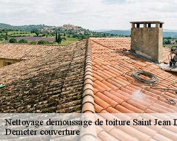 Nettoyage demoussage de toiture
