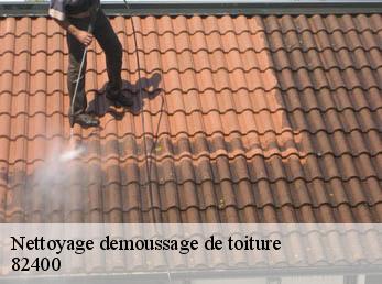 Nettoyage demoussage de toiture  82400