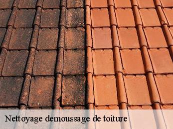 Nettoyage demoussage de toiture