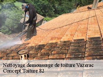 Nettoyage demoussage de toiture vazerac-82220 CALVET OCCITANIE 82